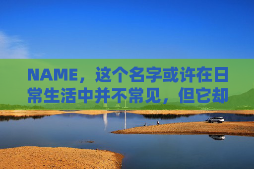 NAME，这个名字或许在日常生活中并不常见，但它却在某些领域里扮演着重要的角色。今天，让我们一起来探索这个名字背后的故事和意义